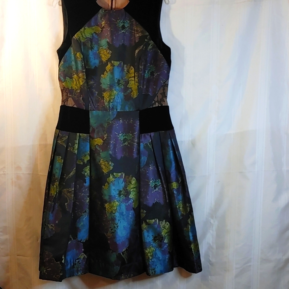 Carmen Marc Volvo Dress